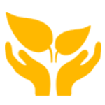 Healthy Environment